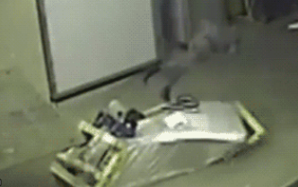 手動搬運(yùn)車事故2.png